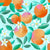 Oranges, orange blossoms, pink, watercolor, kitchen, turquoise, orange, green, Florida, citrus, women, kids, girls, summer, spring, fruit Image