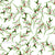 Watercolor Mistletoe Greenery Image