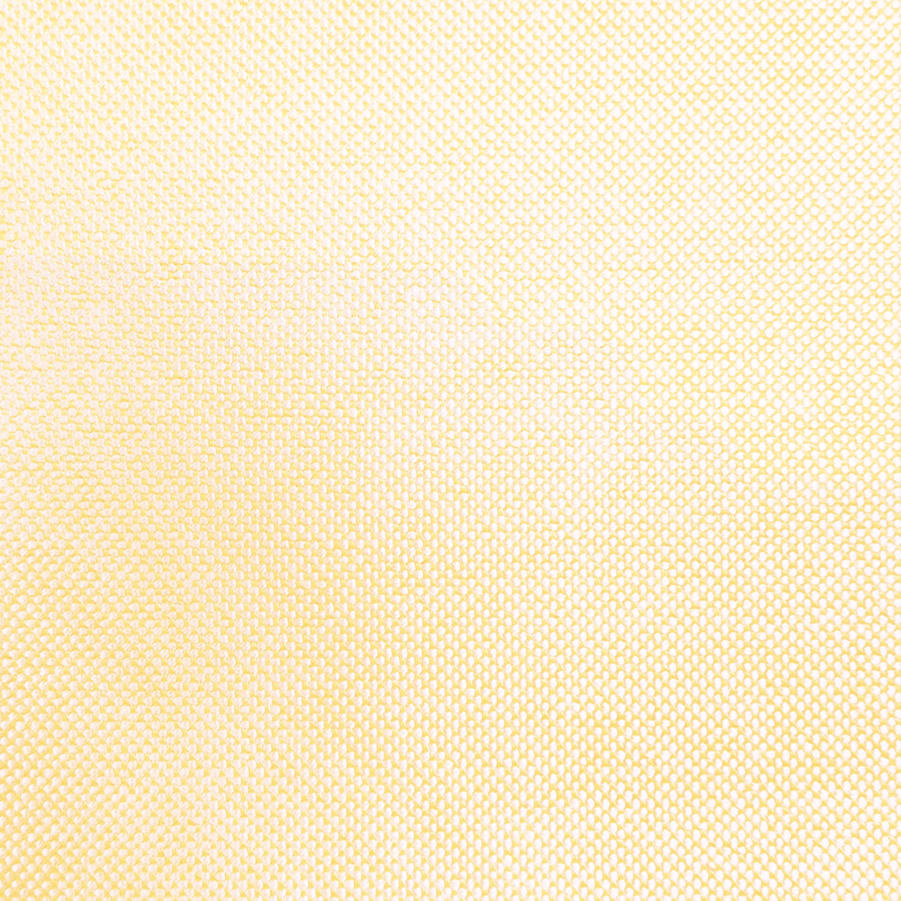 Light Yellow Oxford Cotton Shirting