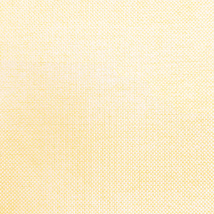 Light Yellow Oxford Cotton Shirting