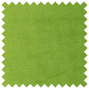 Solid Green Imperial Minky Velvet