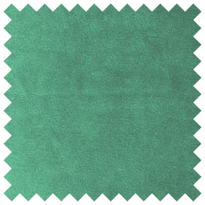 Solid Sage Imperial Minky Velvet