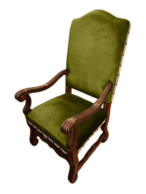 Solid Olive Imperial Minky Velvet