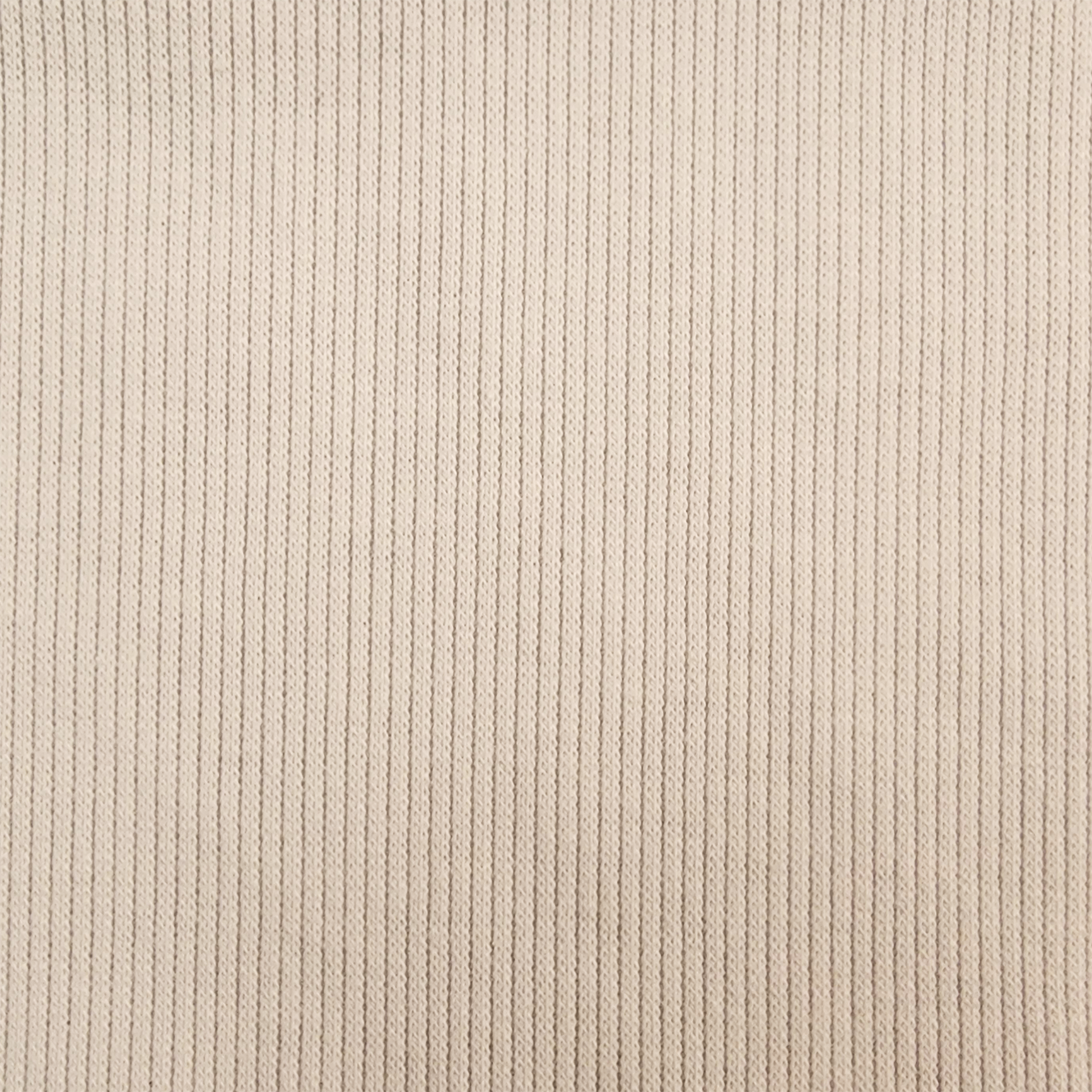 Solid Ivory 2x1 Rib Knit 
