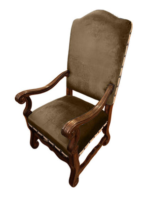 Solid Sepia Imperial Minky Velvet