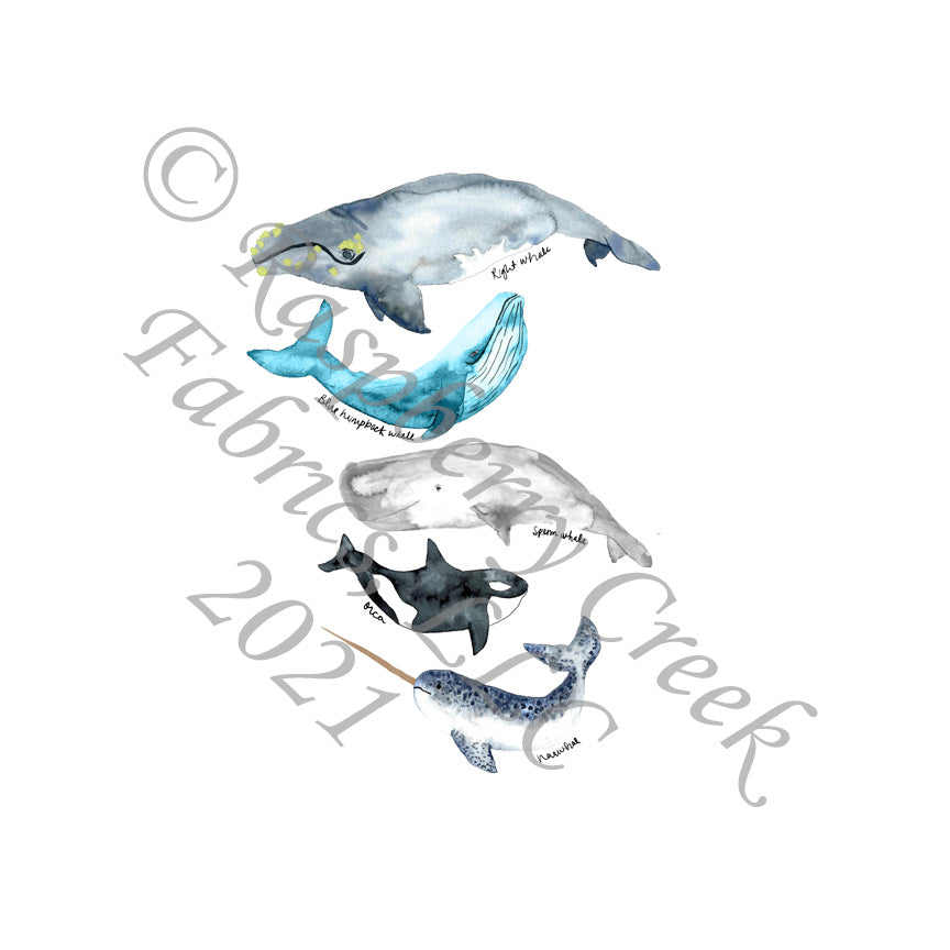 Black Navy Grey and Teal Whales Panel, Under The Sea By Brittney Laidlaw for Club Fabrics