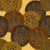 Marbled Motoro Stingrays Cocoa Gold Batik Image