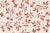 Hedgerow Botanical in Crimson Red on Cream, Rosewood by Cape Fear Quiltery Image