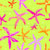 Starfish, bright, neon, neon lemon lime, hot pink, orange, kids, sea, ocean, swim, safe swim, beach, boys, girls, summer, Oceans Orchestra, Starfish Staccato Image