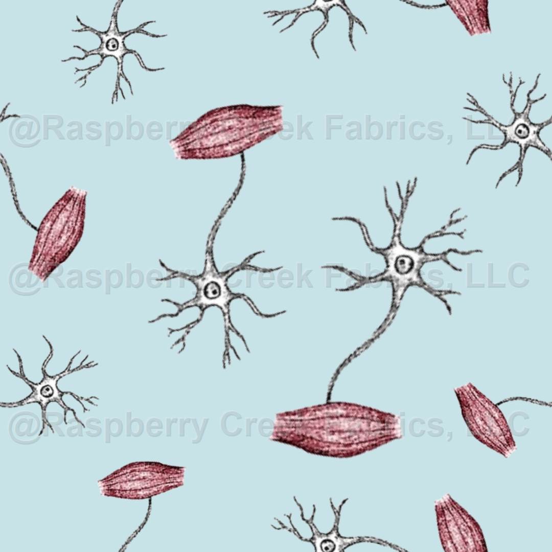 Designs by retraub