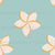 Plumeria flowers on turquoise background Image