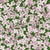Large pink lilac blossoms all over tossed floral spring green. Welcome spring to your home. When you see these lilac blossoms and flowers imagine the intoxicating scent evoking feelings of nostalgia and serenity. Image