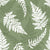 Ferns green Image