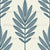 Pinnate Frond Rowan Ash Tree Long Leaves Line Art - Blue Light Beige Image