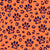 Wild Leopard Animal Dog Paw Prints Orange Image