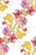 Energetic tropical flower -  red, pink and yellow hibiscuses on the white background Image