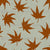 Japanese maple leaves with dots - light teal and brown Image