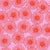 Sunflower Fields in Passionate Pink Image