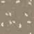 Daisy in Taupe - Floral Wallpaper - Aspen Rue Collection - Daisies w/ Taupe Brown Background - Daisy Wallpaper Image