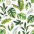 Tropical Jungle Foliage on White Image