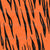 Seamless repeating pattern of tiger skin Image