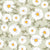 White Daisy Flowers on Soft Sage Green Image
