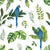 Tropical Jungle Macaw with Jungle Foliage on White Image