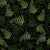 Greenery ferns Pressed flowers black Image