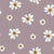 Purple Daisies Image
