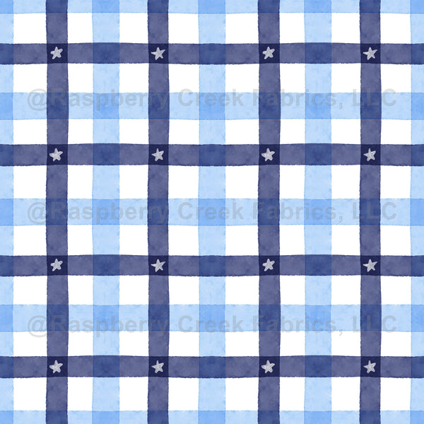 Plaid, white, navy, light blue, country, USA, summer, boys, family, ki ...
