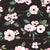 Watercolor Blush on Black Image