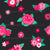 Girly Pink Red Roses On Black Image
