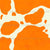 Country Moo in Fresh Summer Orange Image