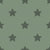 Western Five-Point Stars on Sage Green – Classic Cowgirl Design - Desert Cowgirl Image