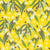 Eucalyptus Gum Collection: Eucalyptus Gum on Bright Yellow Image