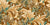 Rococo Bliss | Sienna Brown, Green, Golden, Teal Acanthus Leaves Image