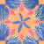 Orange, periwinkle, summer, Shells, geometric, sea, ocean, summer, navy, hot pink, starfish, hand drawn, women, girls, kids, home, swim Image