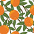 Whimsical Orange, Fanciful Fruit by Brookebecker Image