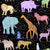 Africa, Animals, zoo, zebra, spots, blue, boys, elephant, giraffe, girls, hand drawn, kids, lion, multicolored, pink, purple, rainbow, rhino, studios, black, yellow Image