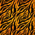 Larger Lady Collection, orange and black Tiger Stripe Design, Bold fabric colors, animal print Image