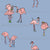 Flamingo Society Dusty Blue Image