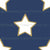 Christmas Star Blue Gold - Minimal Christmas Star Image