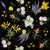 Alpine Wildflowers Chintz Charcoal Image