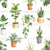 Plants//White Image