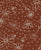 Cocoa Brown Daisy Outlines, Feeling Daisy & Free Collection by Patternmint Image