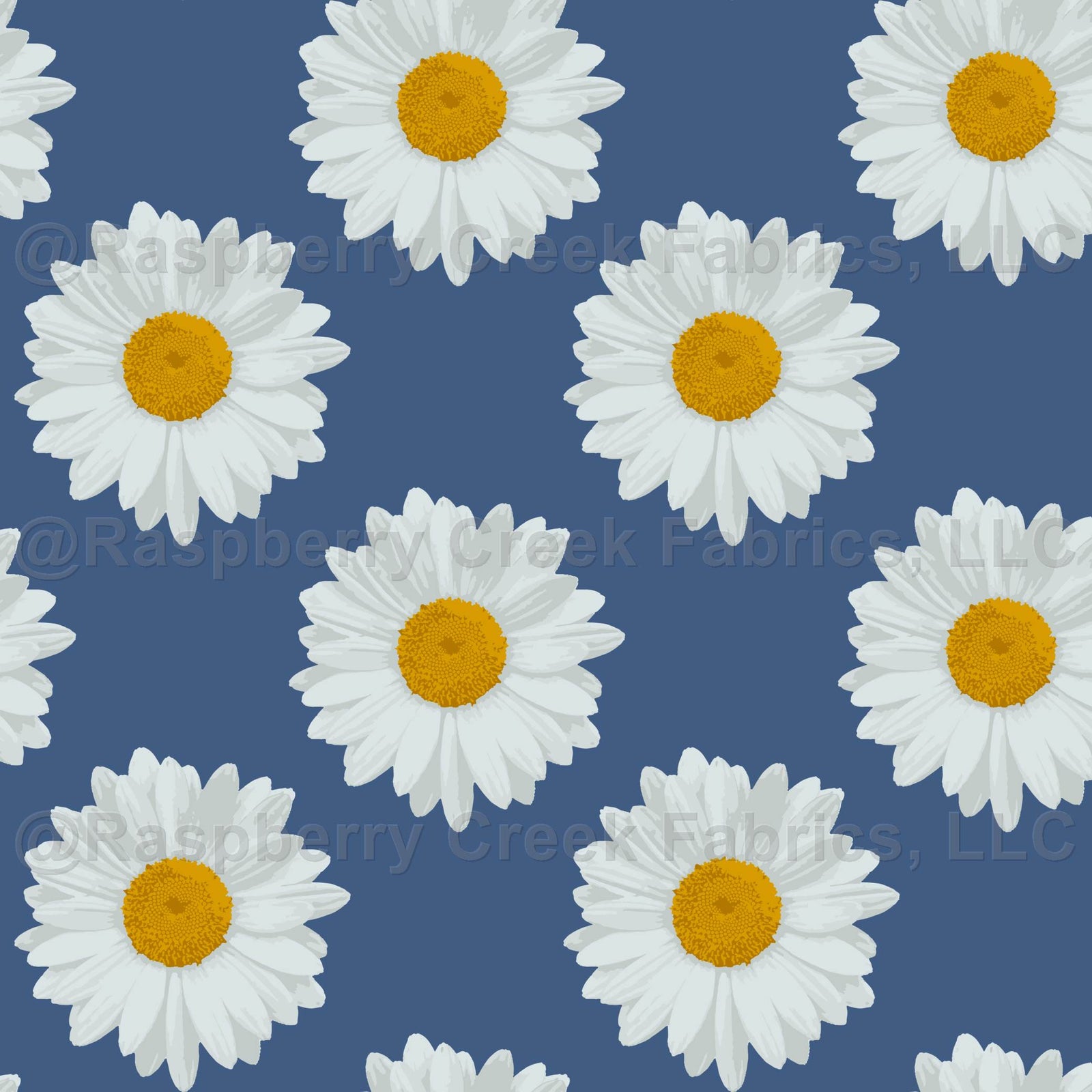 Daisies in Repeat on East Fork Blue Ridge
