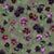 Moody Violas Floral Lush Hosta Image