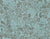 Modern Coastal Beachcombing Close Light Blue And Dark Brown Image
