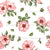 Watercolor wild roses foliage and flowers on white background Image