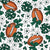 Footballs and Cheer Bows in Green Image